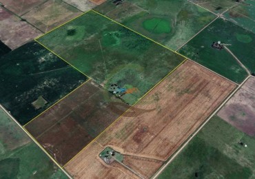 110 Ha Mixto - Abbott - San Miguel del Monte