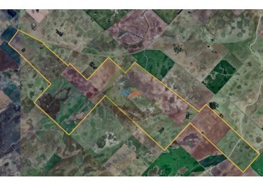 642 Ha Mixtas - Bolivar
