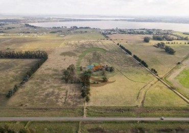 37 Ha Mixtas - San Miguel del Monte