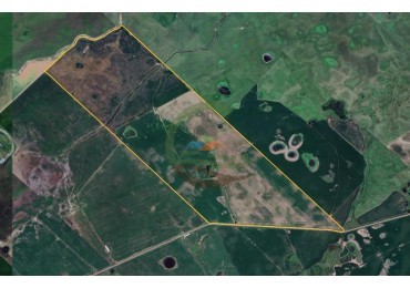 280 Ha Agricolas - General Alvear