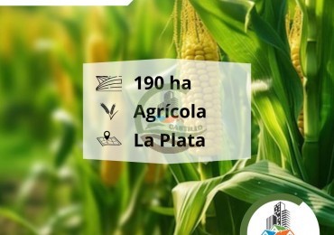 193 Ha Agricolas - La Plata 