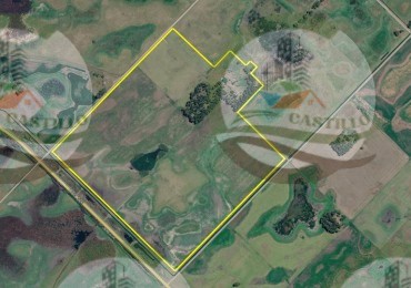 85 ha mixto - Bolivar