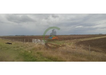 133 Ha Agricolas - Las Toscas - Loberia