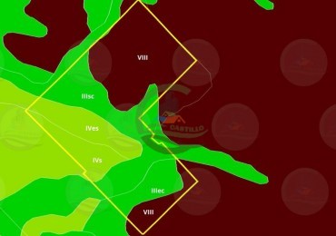 276 ha mixto - Saavedra 