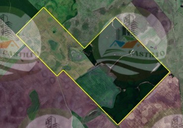 176 Ha Mixto - Roque Perez