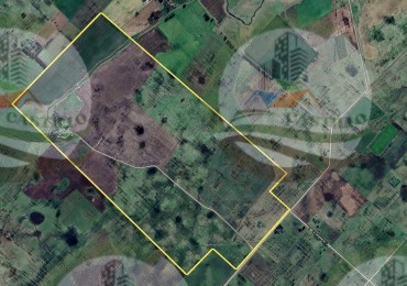 396 Ha Ayacucho - Granja de cerdos con unidad de negocios