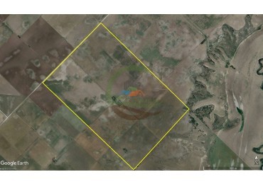 235 Ha Mixto - Tornquist
