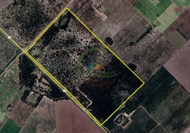 122 Ha Agricolas - Pergamino