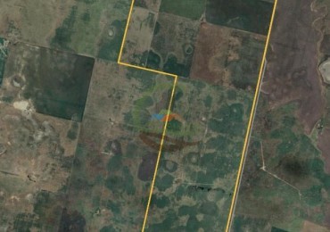 441 Ha Mixto - General Villegas