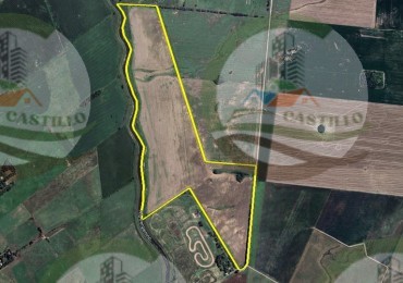 54 Ha Mixto - Pergamino