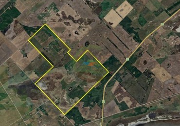 725 Ha Mixto - Bonifacio