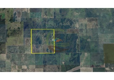 760 Ha Ganadero -  Malbran - Santiago del Estero