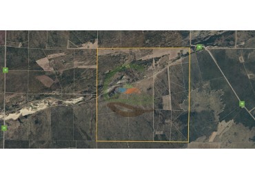 2500 Ha Ganadero - Coto de Caza - Colonia Devoto - La Pampa