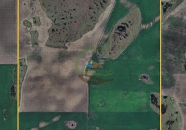 411 Ha Agricolas - Arano - La Pampa