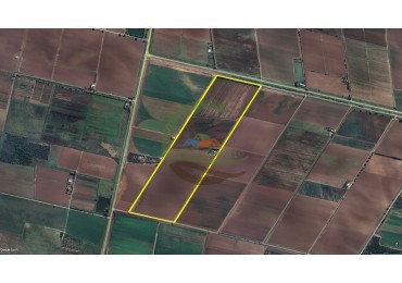 73 Ha Agricolas - Los Cerrillos - Cordoba