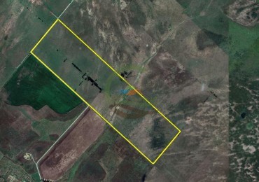 132 Ha Mixto - Magdalena