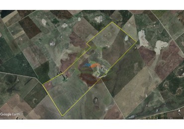 450 Ha Ganadero - Tres Arroyos
