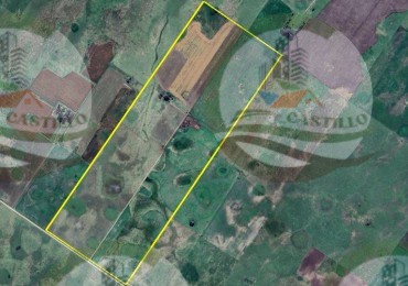 178 Ha Mixto - Rauch
