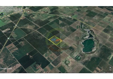 50 Ha Agricolas - Gral Villegas