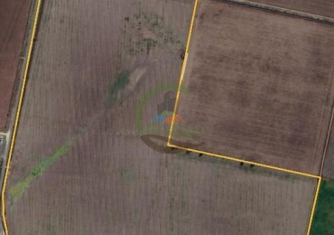 118 Ha Agricolas - Marcos Juarez 