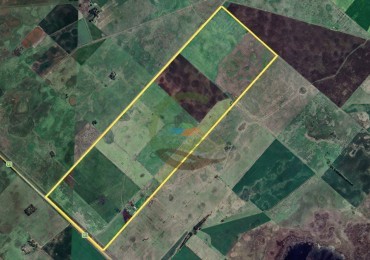487 Ha Agricolas - Saladillo