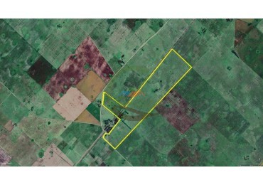 205 Ha Mixto -- Harosteguy - Las Flores