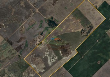 381 Ha Mixto - Daireaux