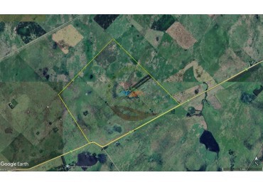 431 Ha Ganadero - Campodonico - Tapalque