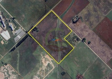 43 Ha mixto - Olavarria