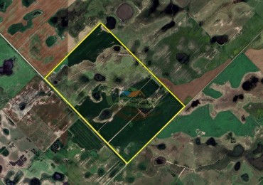 150 Ha Mixto - Urdampilleta - Bolivar