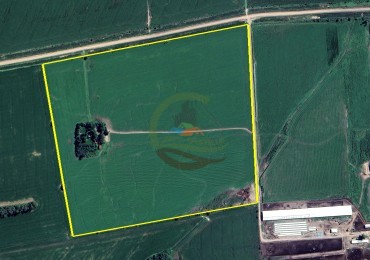 30 ha Agricolas - Pergamino