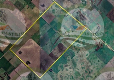 539 Ha Agricolas - Bragado - O'Brien