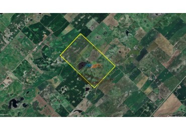258 ha Mixto - Bolivar - Hale