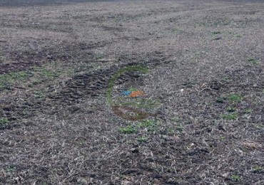 93 Ha Agricolas - 25 de Mayo 