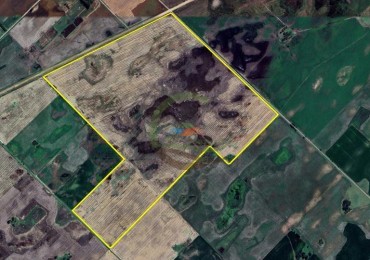 192 Ha Mixto - Daireaux