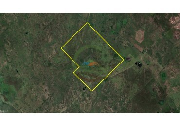 160 Ha Ganadera - Recalde - Olavarria