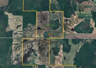 450 Ha Mixtas - Quitilipi - Chaco