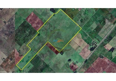 265 Ha Ganadero - Harosteguy - Las Flores